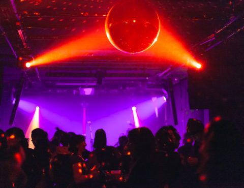 Autour du club : le monde de la nuit porte conseil